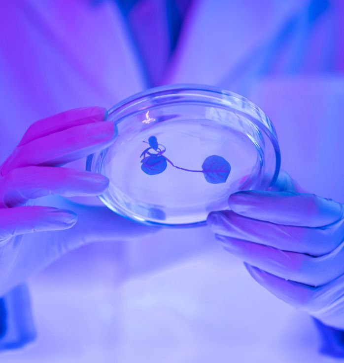 stem cell fertility treatment