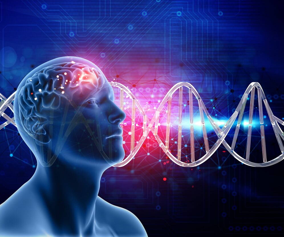 Brain stem cell treatment