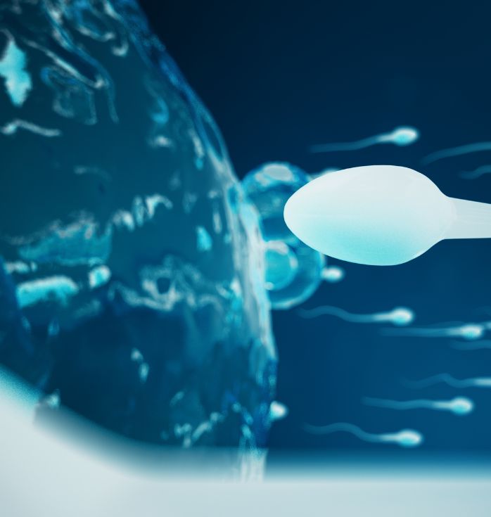 stem cell fertility treatment