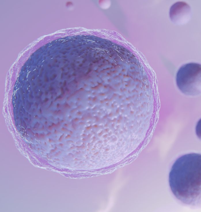 stem cell fertility treatment