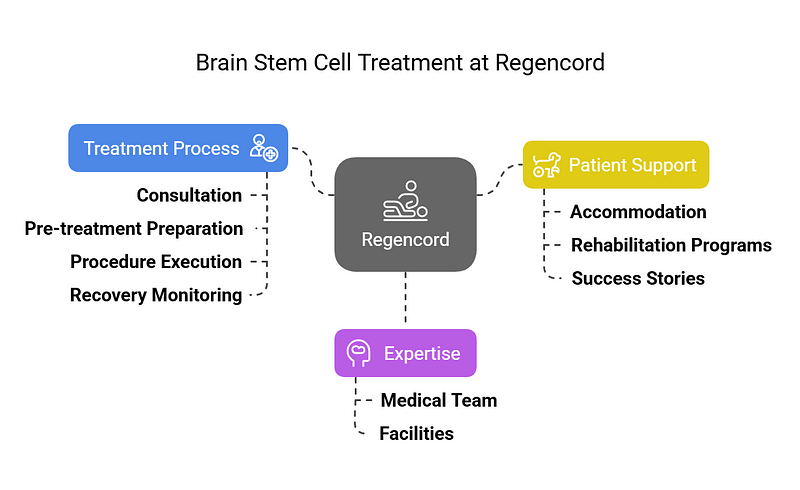 Brain Stem Cell Treatment