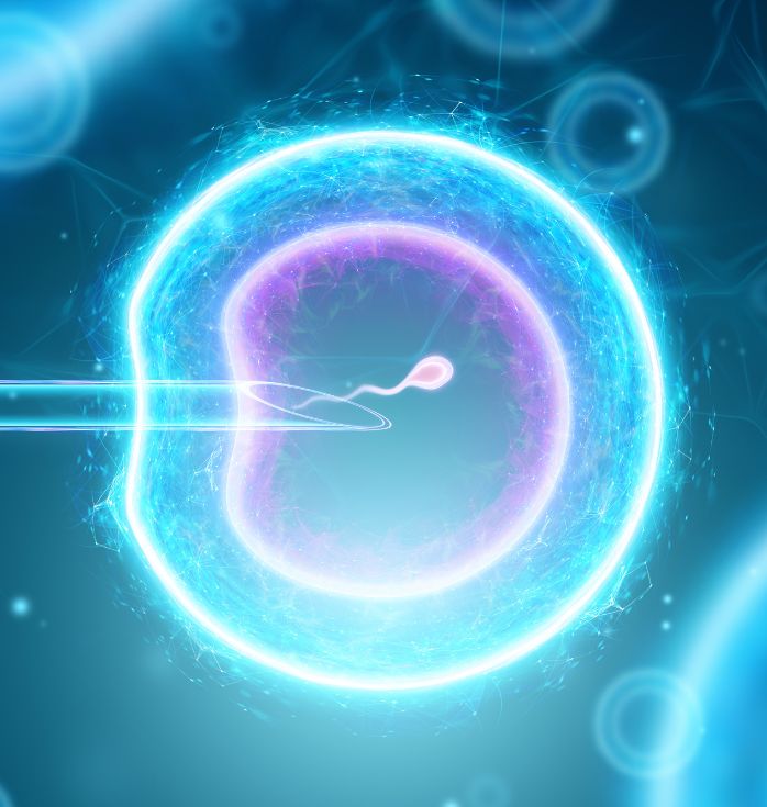stem cell treatment for female infertility