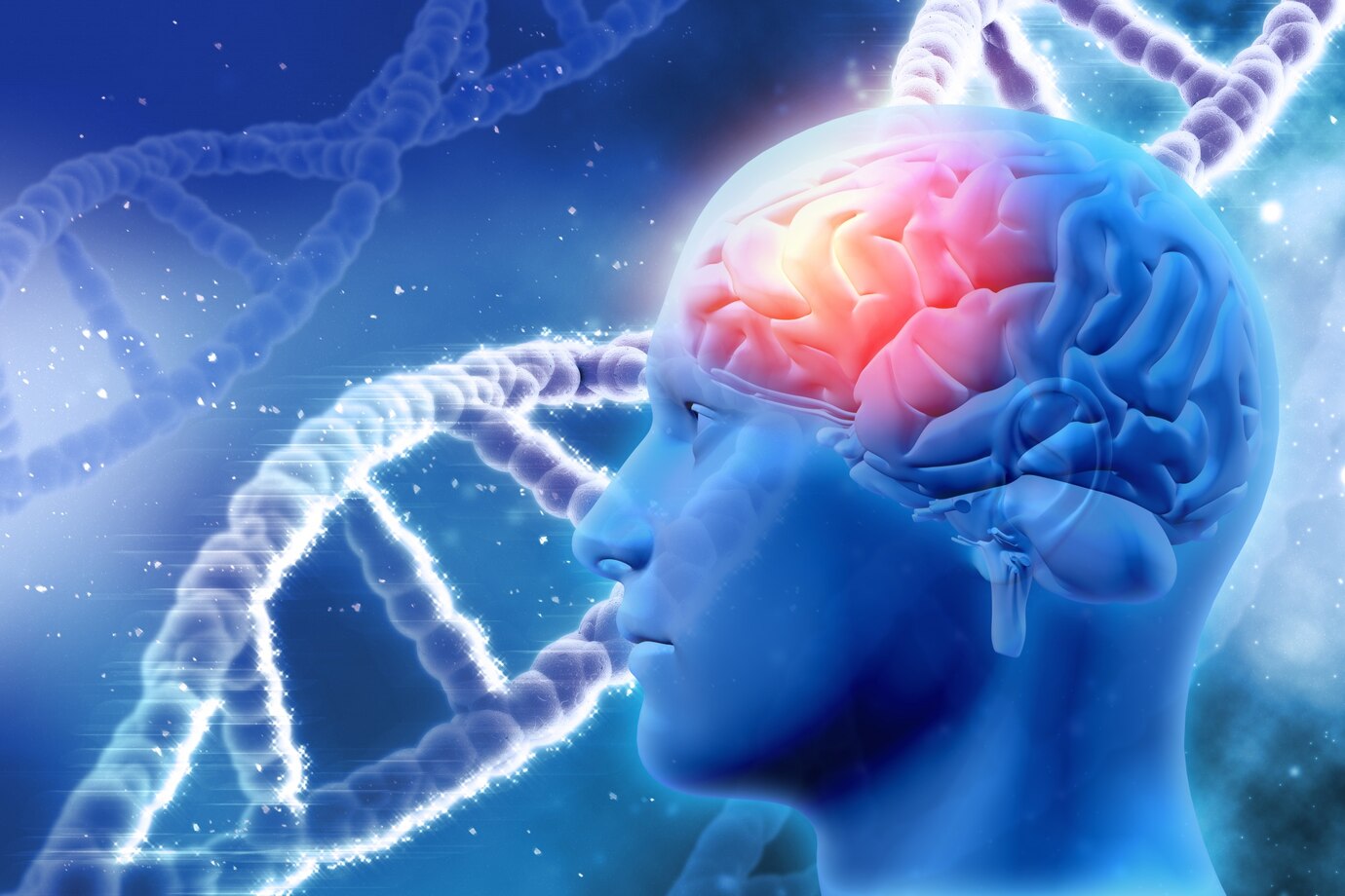 Brain stem cell treatment