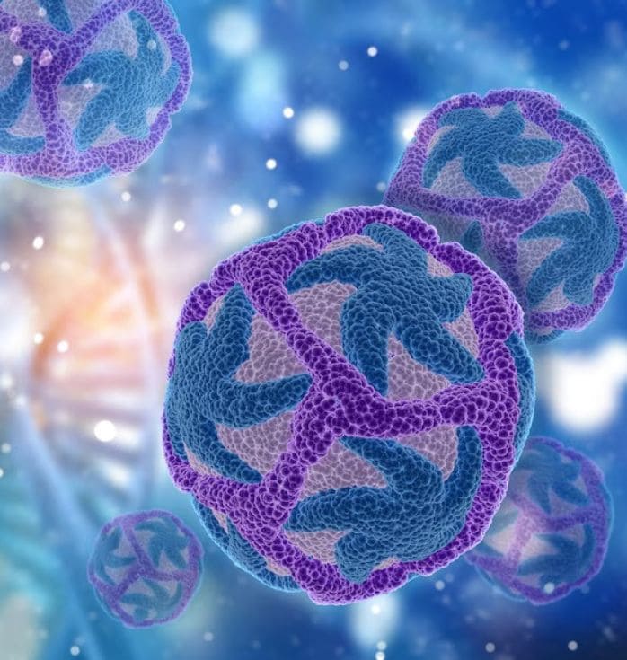 stem cells for cancer treatment