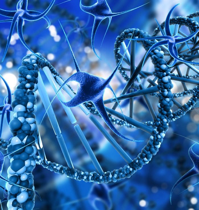 nerve damage stem cell treatment
