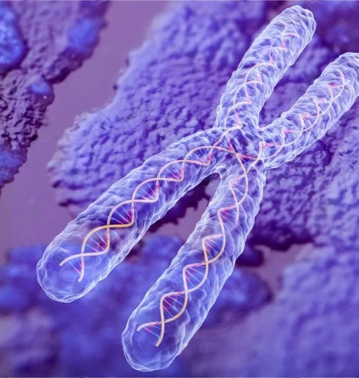 Stem Cells for Cancer Treatment